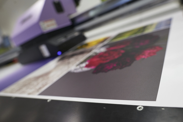 B - Mimaki JFX200 Pins DC23941 PQ